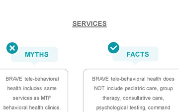 BRAVE Fact Sheets PPT Page 3