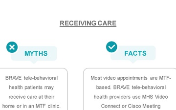 BRAVE Fact Sheets PPT Page 4