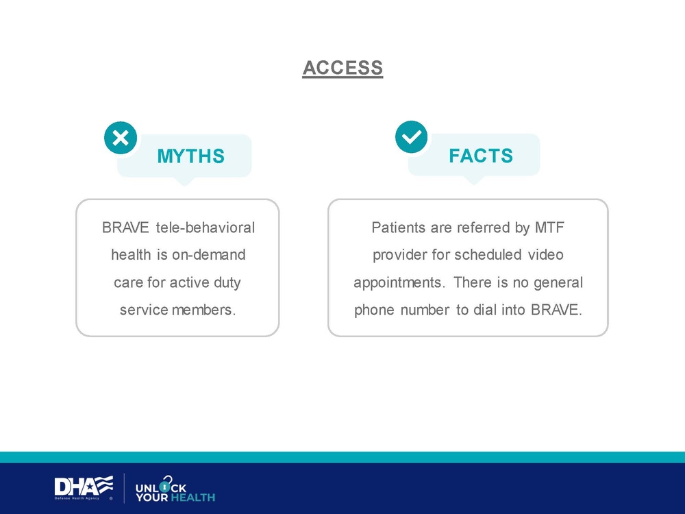 BRAVE Fact Sheets PPT Page 2