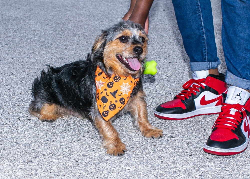 NSGB MWR Hosts Truck-or-Treat