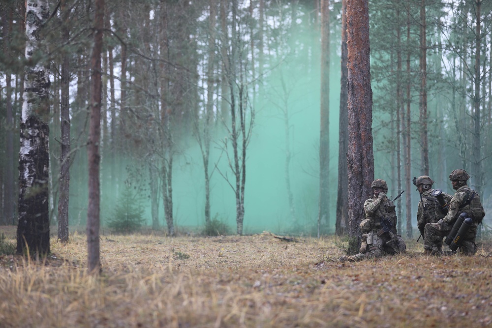 Estonian division commander observes 10th Mtn. Div. live fire exercise