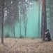 Estonian division commander observes 10th Mtn. Div. live fire exercise