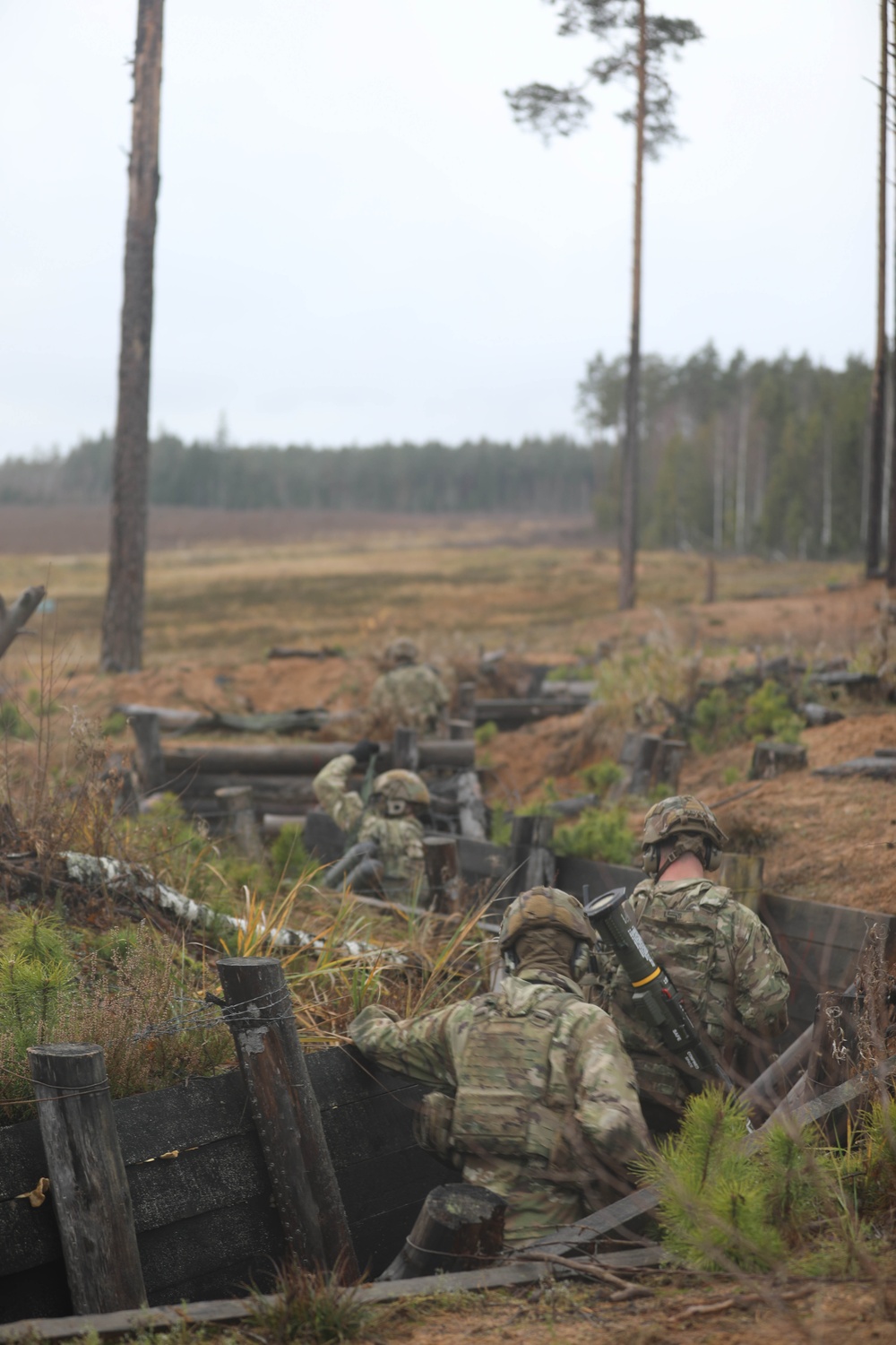 Estonian division commander observes 10th Mtn. Div. live fire exercise