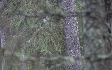 Estonian division commander observes 10th Mtn. Div. live fire exercise