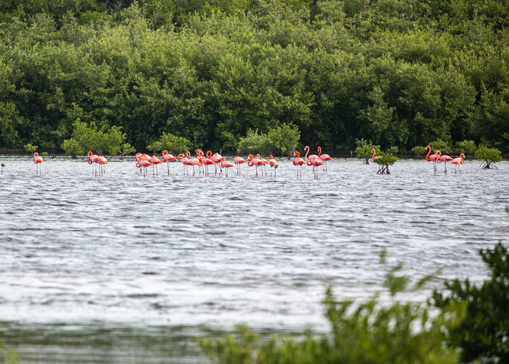 NC1 Clarke Reenlists at Flamingo Cay