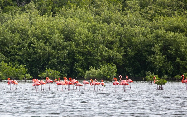 NC1 Clarke Reenlists at Flamingo Cay