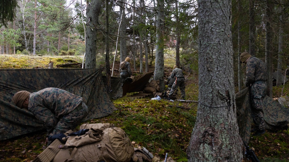 U.S. Marines conduct simulated Expeditionary Advanced Base Operations