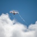 The F-16 Viper Demonstration Team performs at the 2024 Stuart Airshow