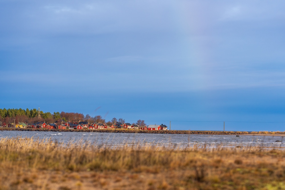 Mallet Strike 2024 exercises integrated air and missile defense with High North Allies in Finland