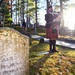 Veterans Day flag retirement ceremony held