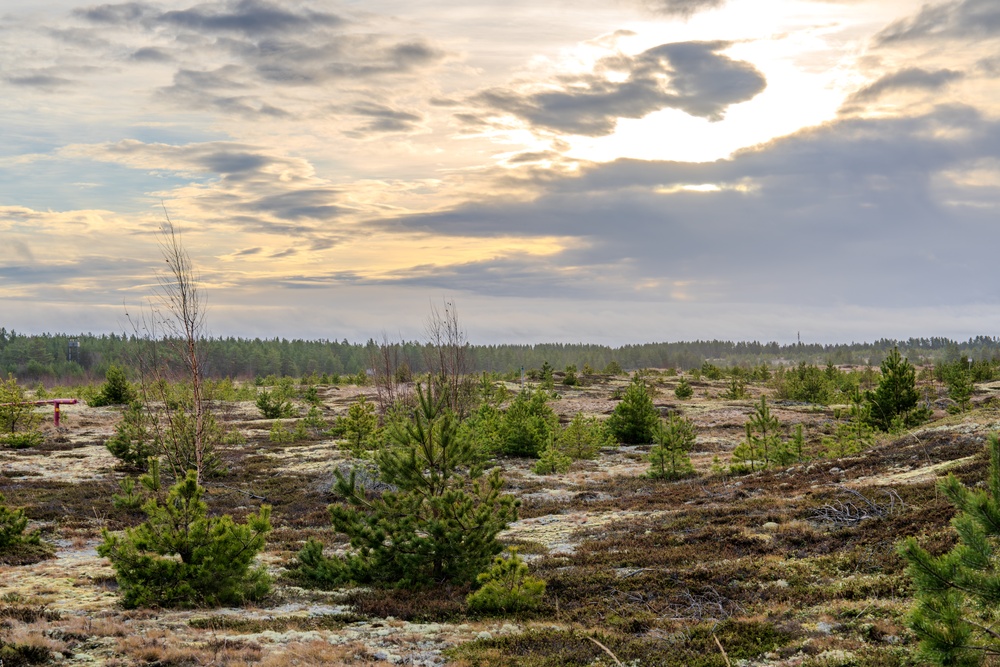 Mallet Strike 2024 exercises integrated air and missile defense with High North Allies in Finland