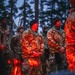 Mallet Strike 2024 exercises integrated air and missile defense with High North Allies in Finland