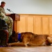 MWD Mirco retires after 7 years of service