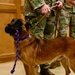 MWD Mirco retires after 7 years of service