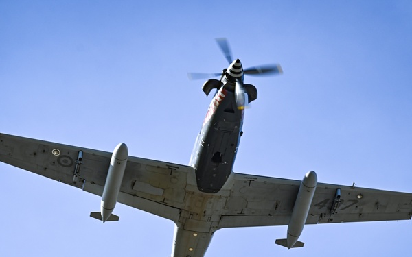 Aircraft of CRUZEX 2024