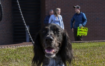 Navy Medicine Readiness and Training Command  Camp Lejeune welcomes home Expeditionary Medical Unit 10, Rotation 16 Sailors