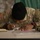 2025 Special Troops Command (Provisional) and 73rd Troop Command Best Warrior Competition