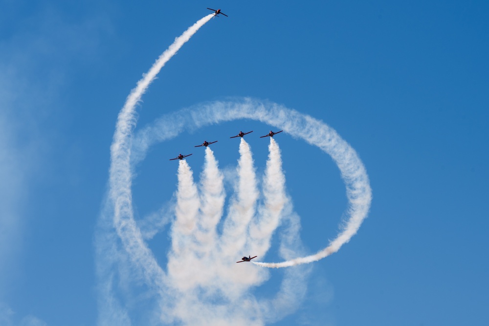 MAS 24