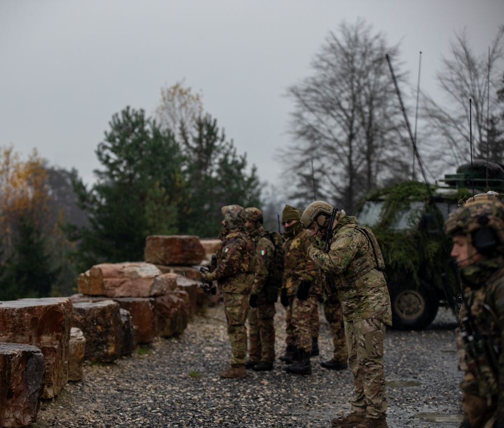 Multinational joint terminal attack controllers execute a close air support mission as part of Dynamic Front 25