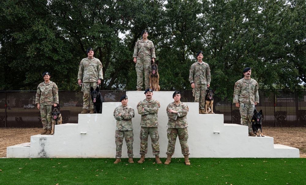 Military working dogs