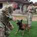 Military working dogs