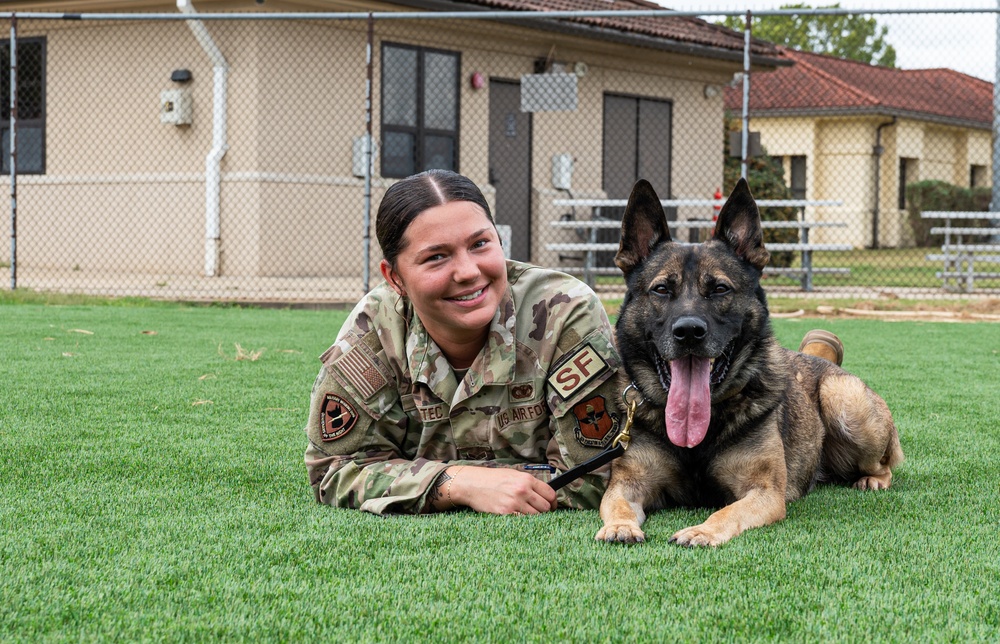 Military working dogs