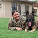 Military working dogs