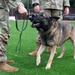 Military working dogs