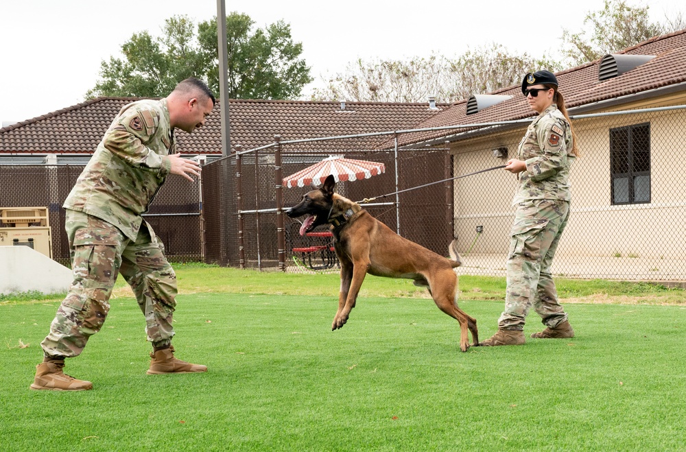 Military working dogs