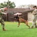 Military working dogs