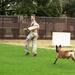 Military Working Dogs