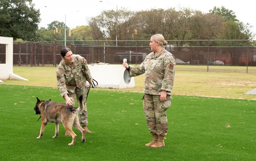 Military Working Dogs