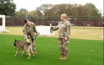 Military Working Dogs