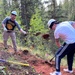 310th Space Wing assists in Colorado wildland conservation