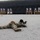12th LLB Increases Their Combat Marksmanship Skills During a Short Bay and Unknown Distance Live-Fire Range