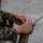 12th LLB Increases Their Combat Marksmanship Skills During a Short Bay and Unknown Distance Live-Fire Range