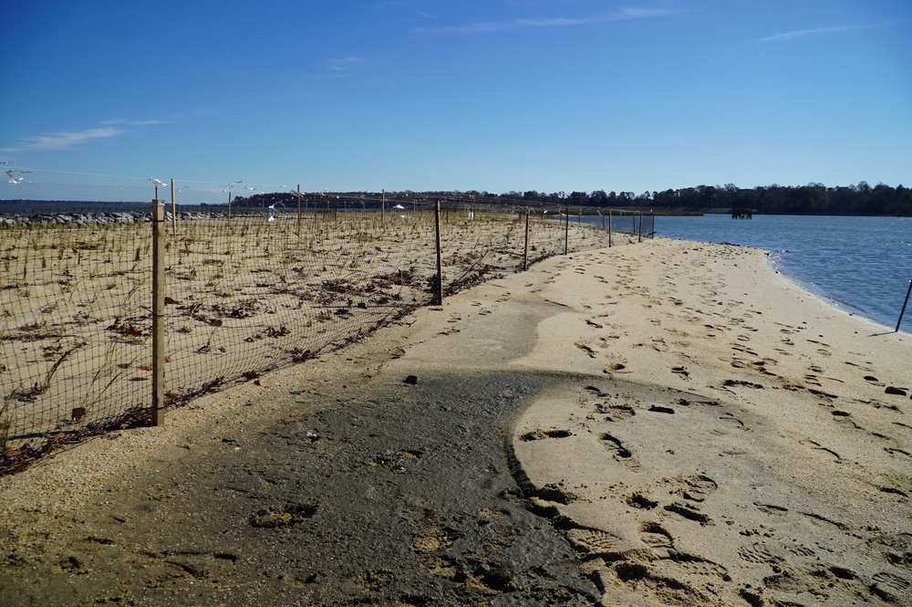 Penniman Spit restoration area onboard Cheatham Annex