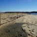 Penniman Spit restoration area onboard Cheatham Annex