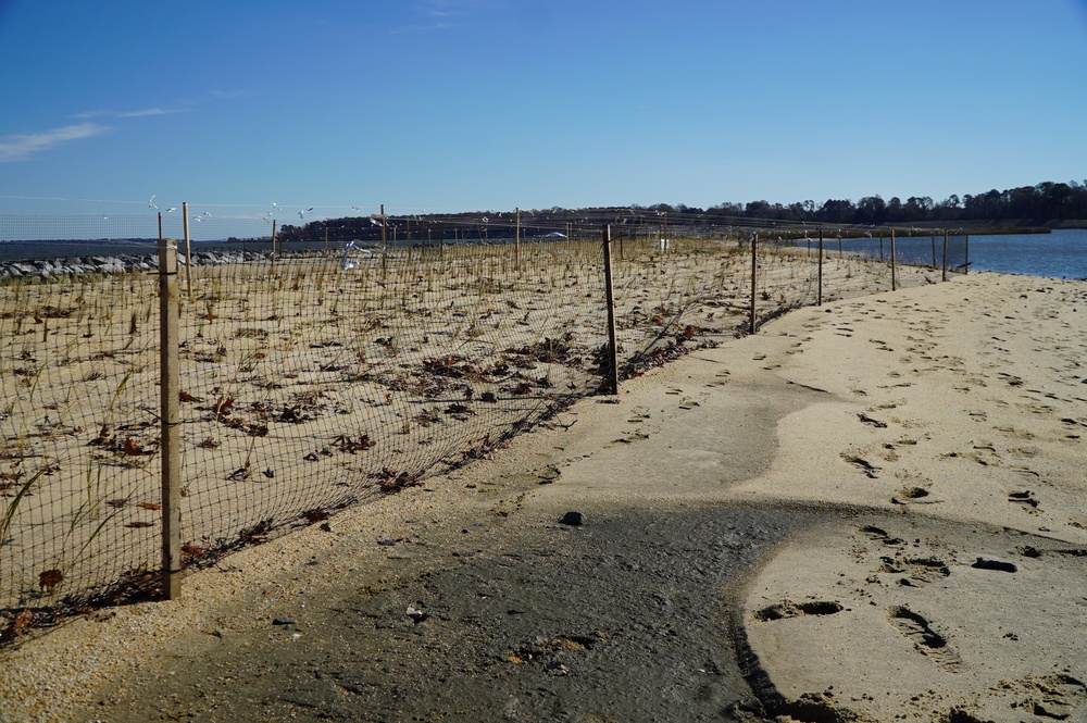 Penniman Spit restoration area onboard Cheatham Annex