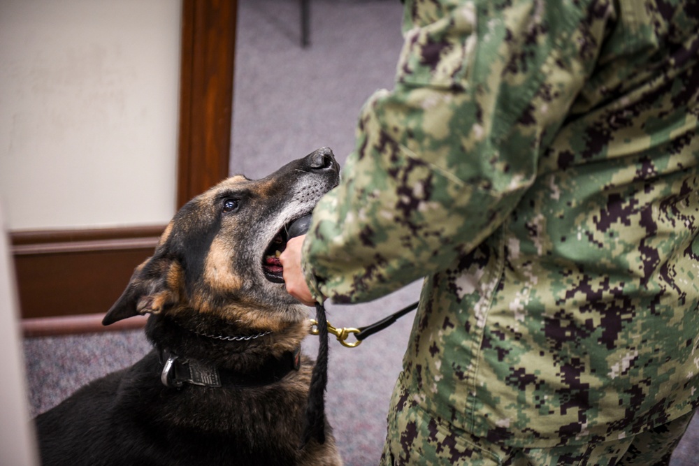 MWD Practices Drug Detection