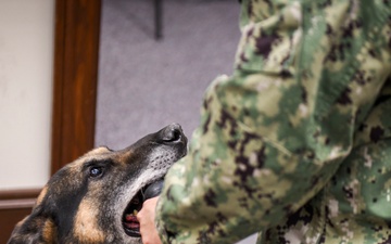 MWD Practices Drug Detection