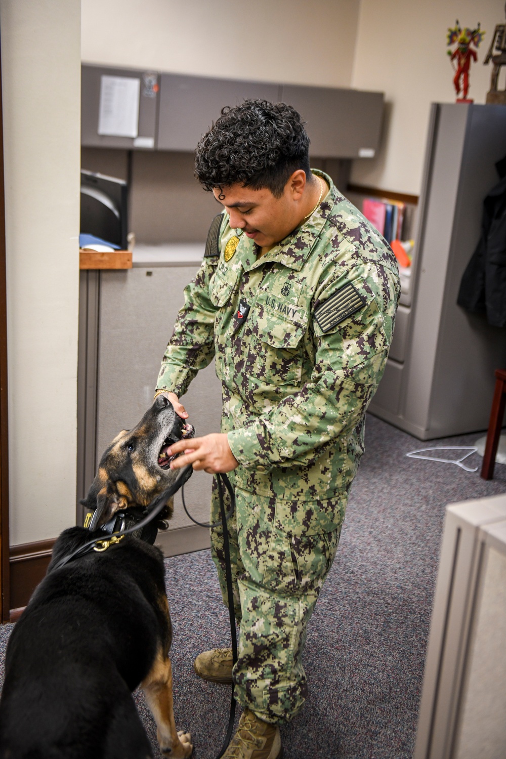 MWD Practices Drug Detection