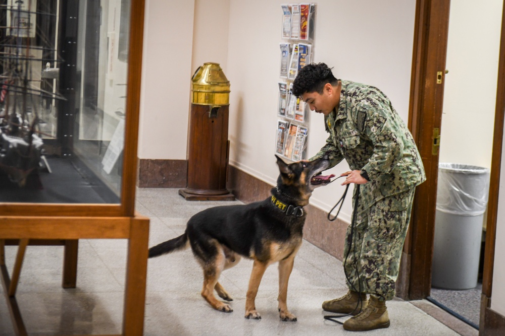 MWD Practices Drug Detection