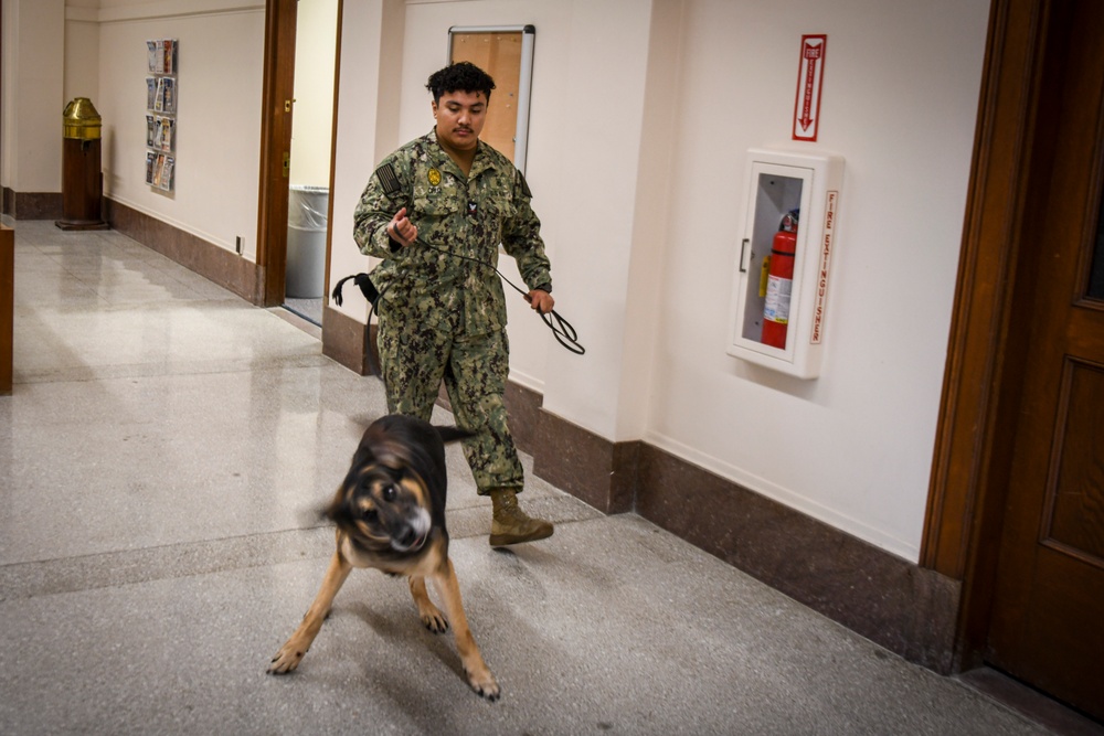 MWD Practices Drug Detection