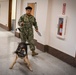 MWD Practices Drug Detection