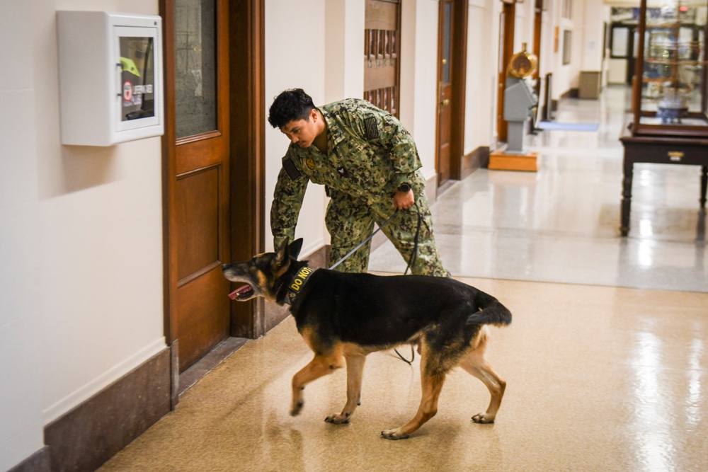 MWD Practices Drug Detection