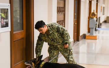 MWD Practices Drug Detection