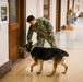 MWD Practices Drug Detection