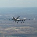 MQ-9 Flight