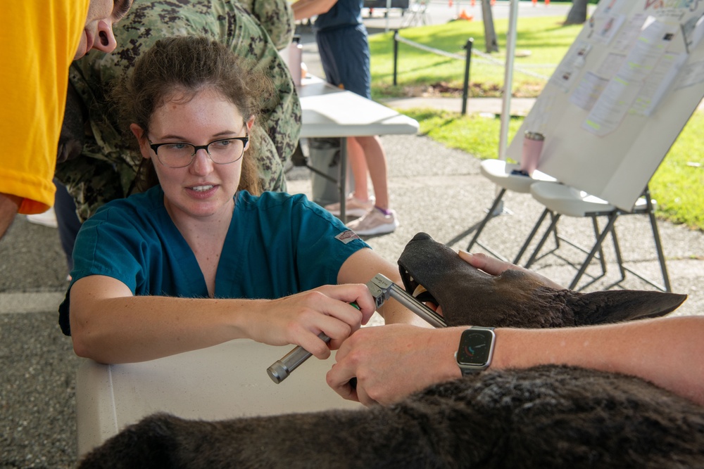 Naval Hospital Guantanamo Bay Hosts Readiness Training Event